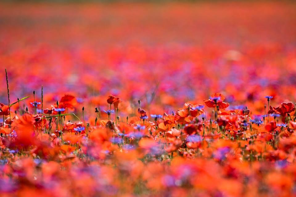 Hotel Europa ノルチャ エクステリア 写真