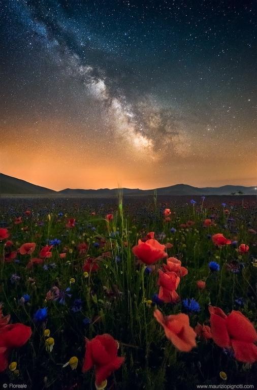 Hotel Europa ノルチャ エクステリア 写真
